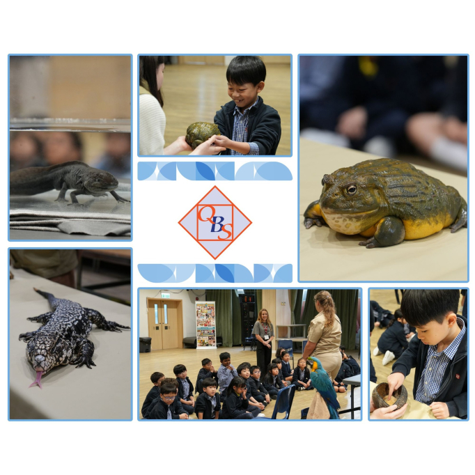 641235571_18109960267778564_3496986494305281527_n